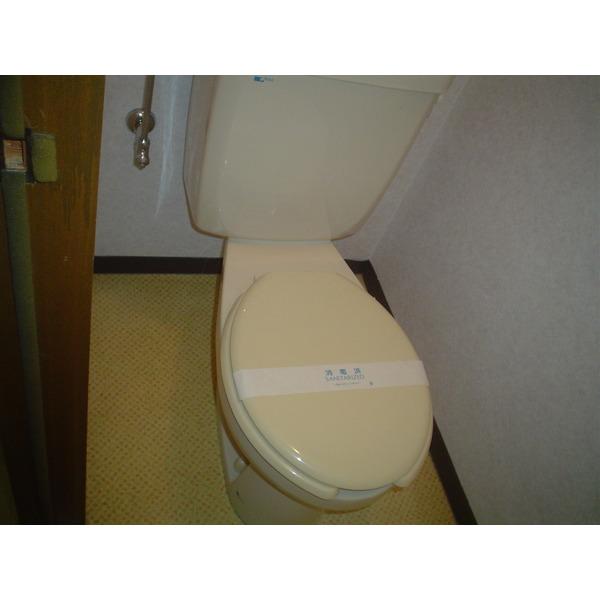ロイヤルメゾン長岡京（403） トイレ
