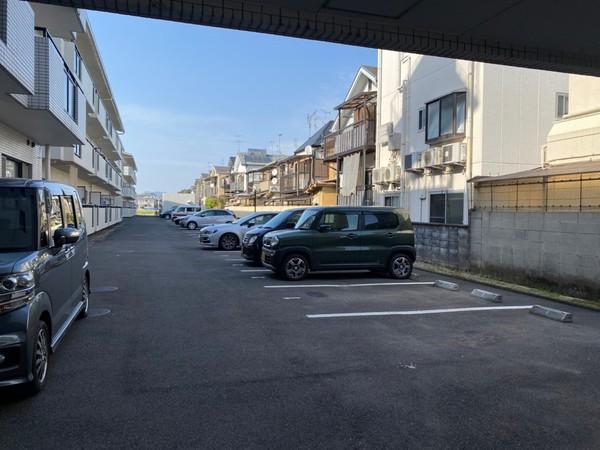 コモド長岡京（306） 駐車場
