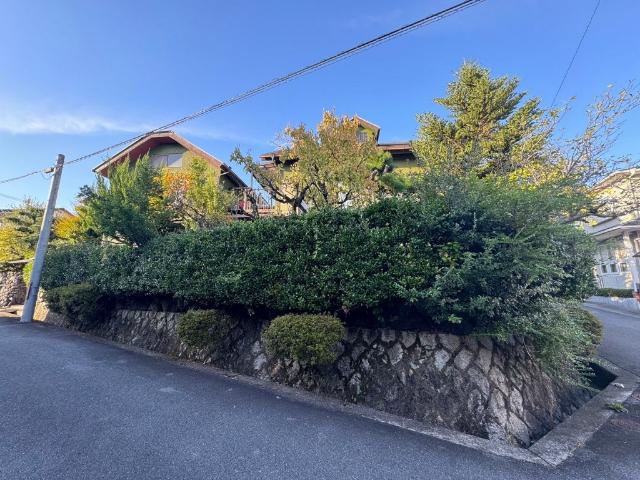 土地1