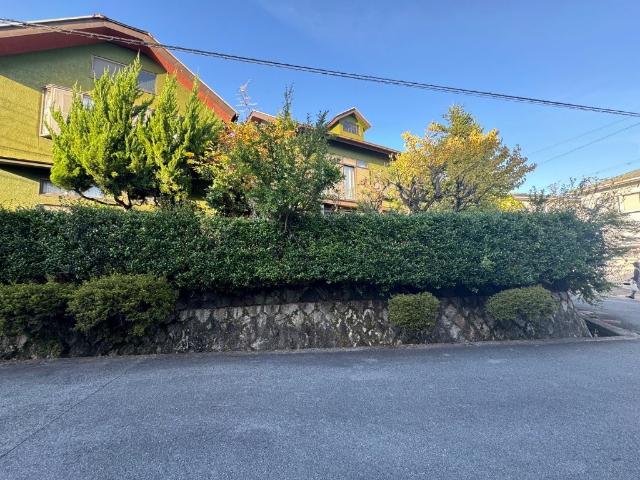 土地2