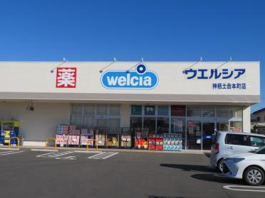 ウエルシア神栖土合本町店：534m