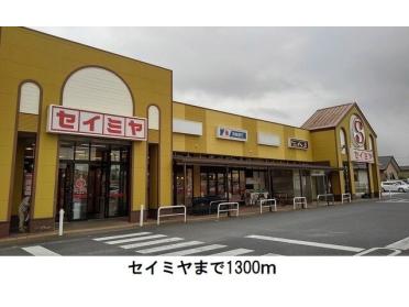 セイミヤ平泉東店：1300m