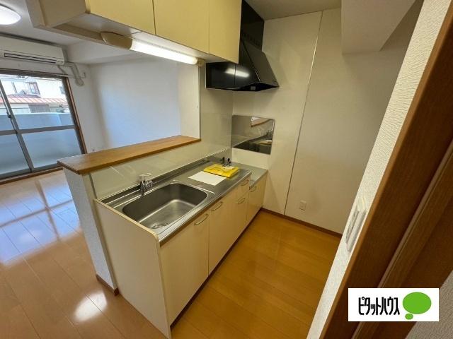 ヒルズ知手（206） キッチン