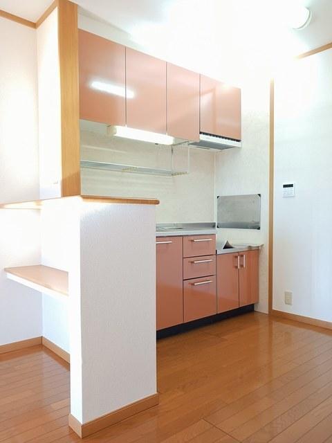 ブリズⅢ（201） キッチン