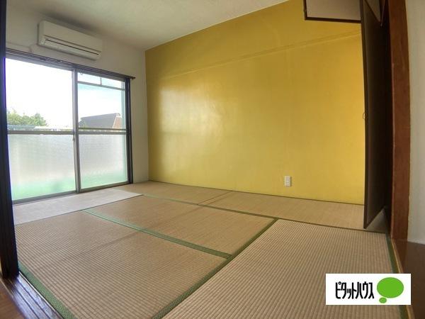 ピース（101） その他