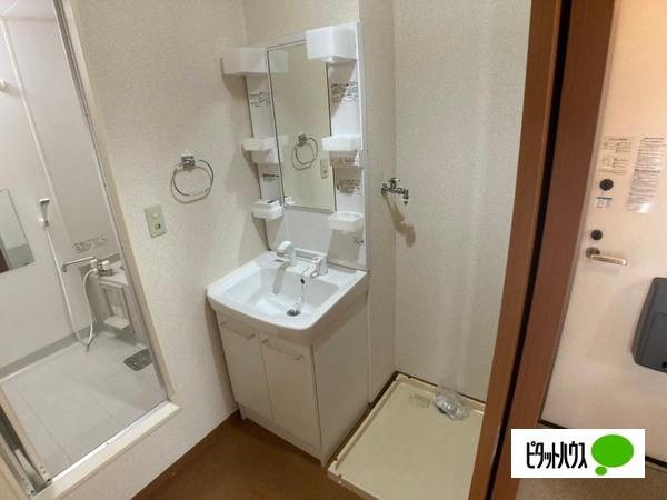 ニューポート参番館（102） 洗面