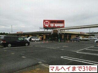マルヘイ：310m
