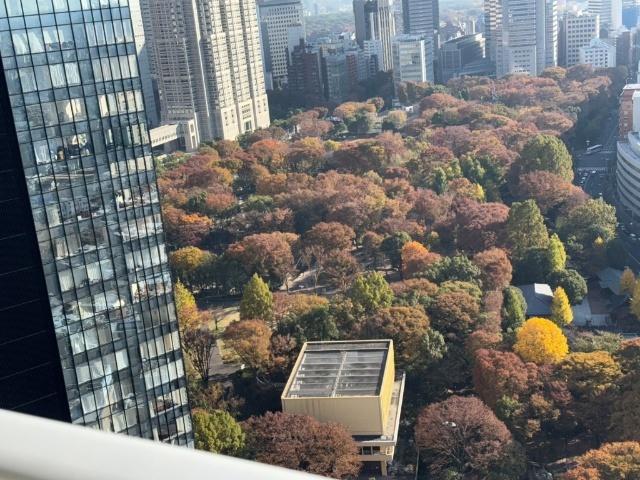 コンシェリア西新宿　TOWER'S WEST 物件画像