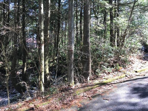 紅葉台センチュリーヴィラ 土地