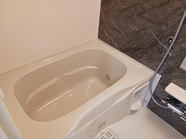 ヒカルサ狭山広瀬台サウス（301） その他部屋・スペース