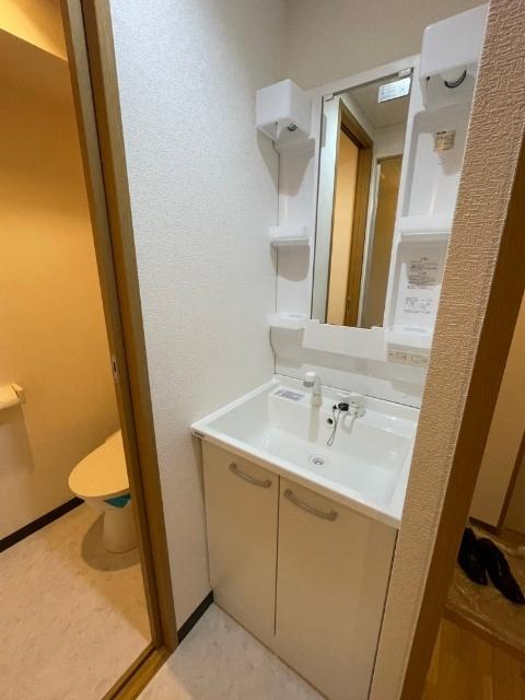 チャールストンハウス（101） 洗面