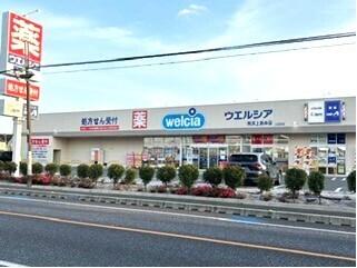 ウエルシア所沢上新井店：130m