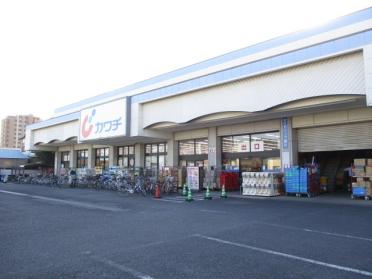 カワチ薬品新田駅前店：722m