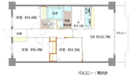 ピエール草加（505） 間取り図画像