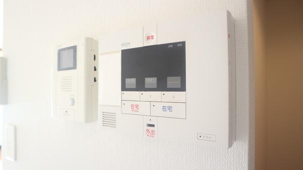 リブリ・ヴァータジェム（110） セキュリティ