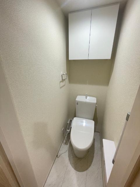 リーブルファイン獨協大学前　2号棟（301） トイレ
