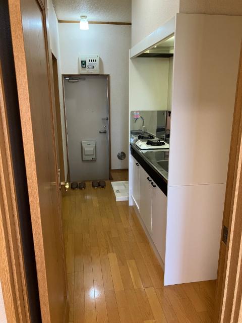 田川ハイツ3（206） その他部屋・スペース