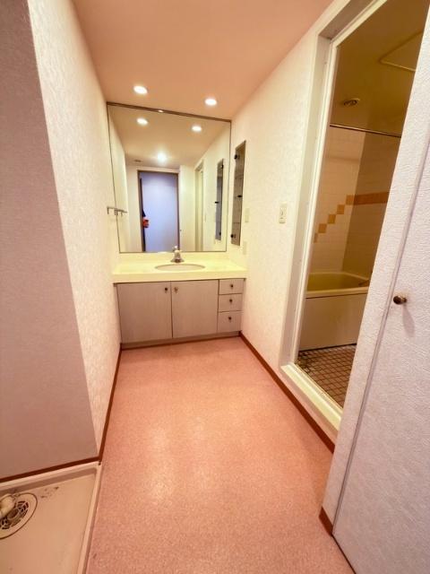 越谷南パークホームズ（503） 洗面