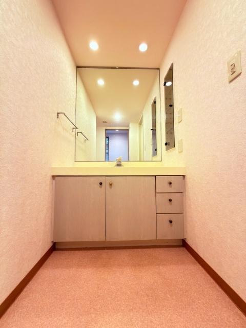 越谷南パークホームズ（503） 洗面