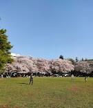 南越谷第一公園：2700m