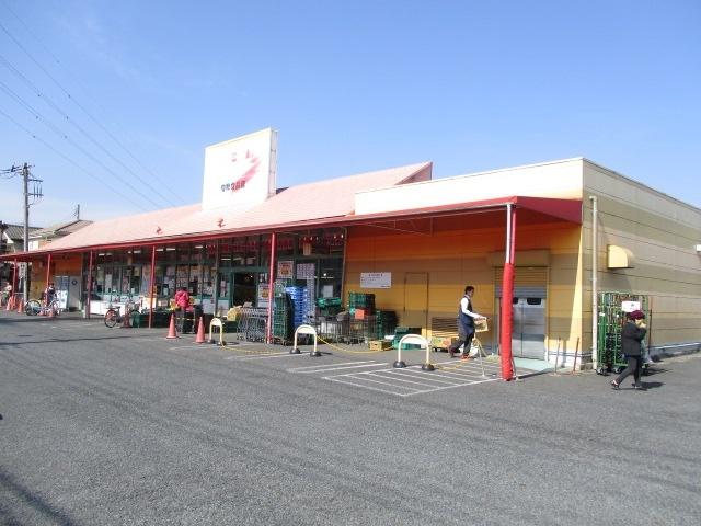 旬鮮食品館カズン草加店：750m