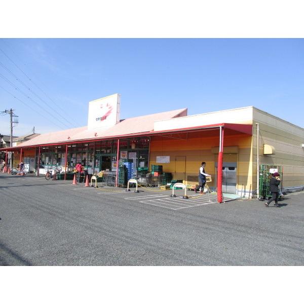 カズン212m