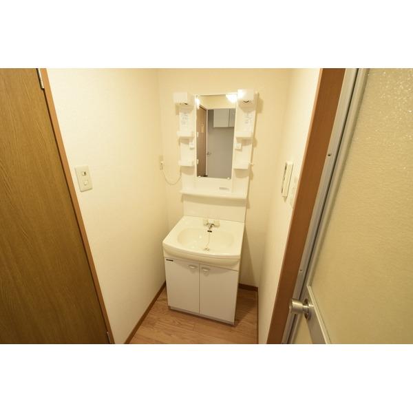 サープラスワン町田（206） 洗面