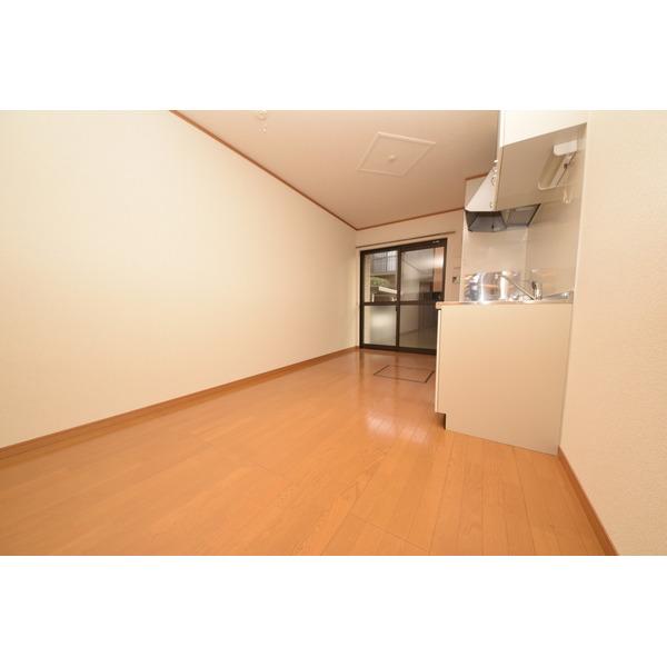 ハイツRIANA（102） 部屋画像