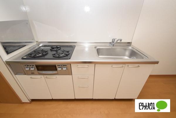 ハイツRIANA（105） 部屋画像