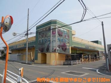 生鮮館やまひこ　岩倉店：1100m