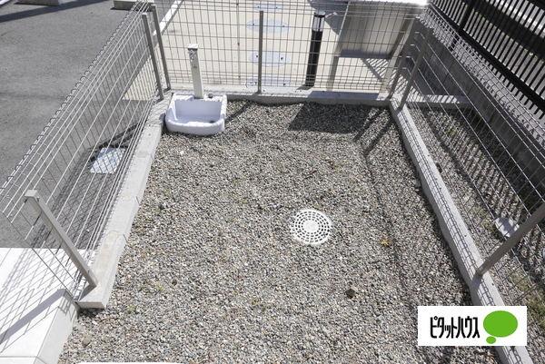 ＳＵＮＮＹ（101） 部屋画像
