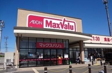 マックスバリュ：500m