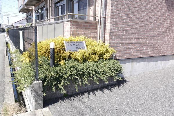 メゾンプチシャトー出口Ｂ館 物件画像