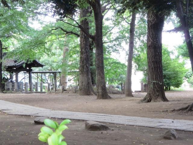 日暮里台緑地：796m