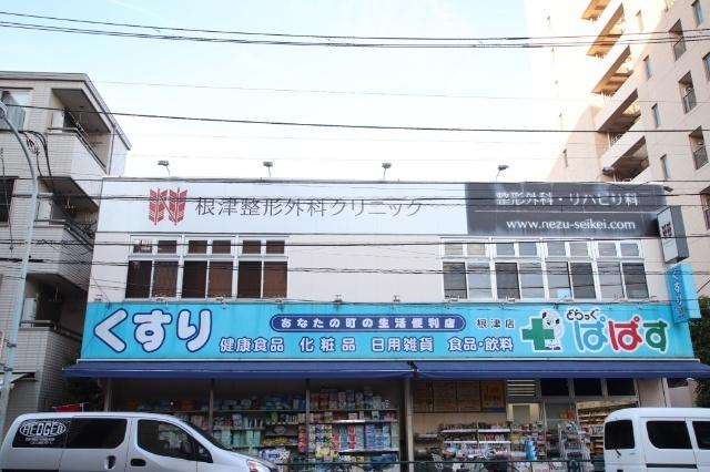 どらっぐぱぱす根津店：527m