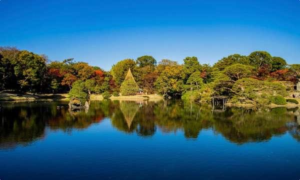 デュアルハイツ千石 周辺環境