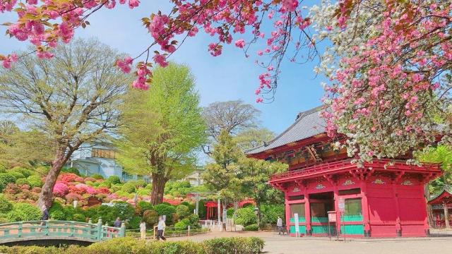 千駄木リリエンハイム その他