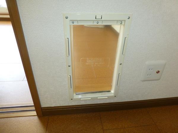 ドリームハウス稲元（205） 部屋画像