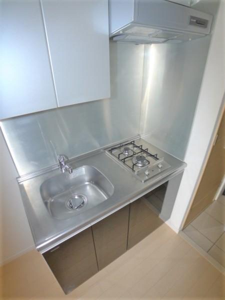 ＴＨＥパームス東武練馬（508） 部屋画像