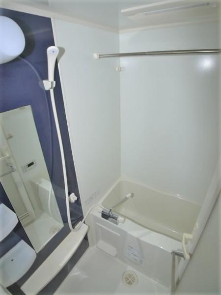 ＴＨＥパームス東武練馬（508） 部屋画像