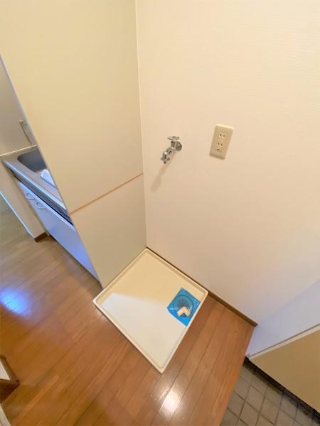メゾンファインⅢ（103） 部屋画像