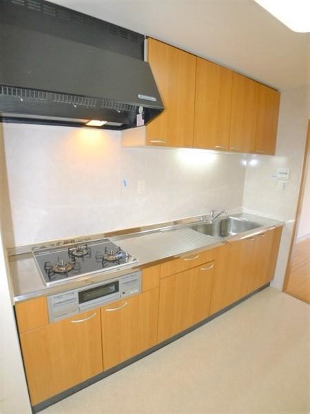 アソシエール練馬春日町（303） 部屋画像