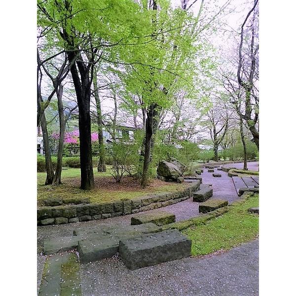 赤塚新町公園：806m