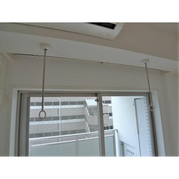 SYNEX赤塚駅前（901） 部屋画像