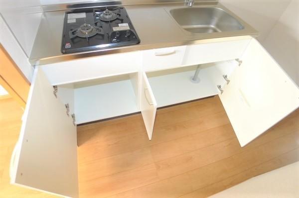 プライムガーデン朝霞台（103） 部屋画像