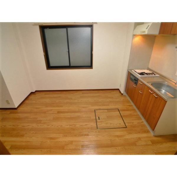 メゾン大泉（103） 部屋画像
