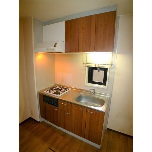 メゾン大泉（103） 部屋画像