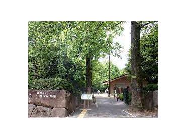 赤塚植物園：1140m