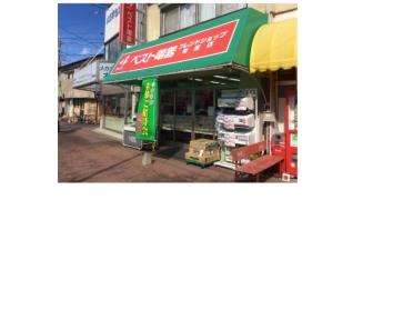 ベスト電器BFS新座店：393m