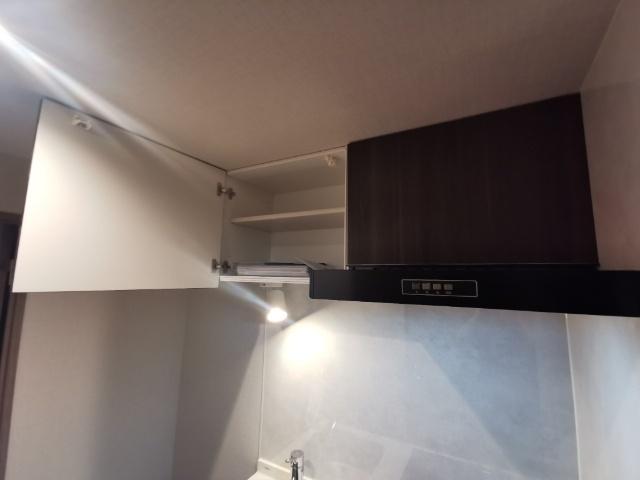 DIPS成増（105） 部屋画像